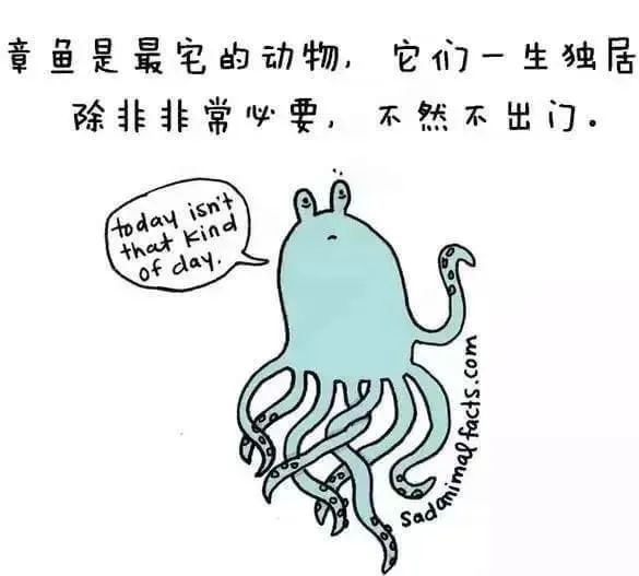 1668495441158322.jpg 6.jpg