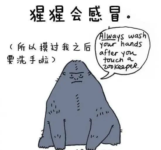 1668495448910311.jpg 7.jpg