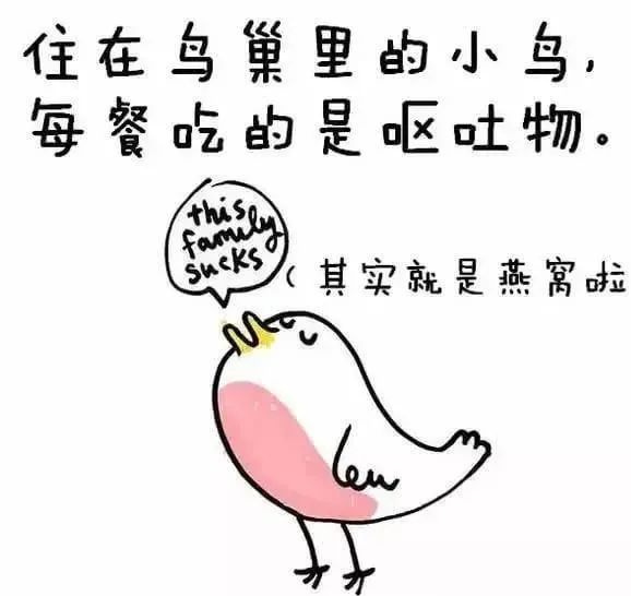 1668495461152806.jpg 8.jpg