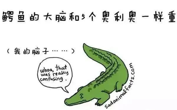 1668495466107810.jpg 9.jpg