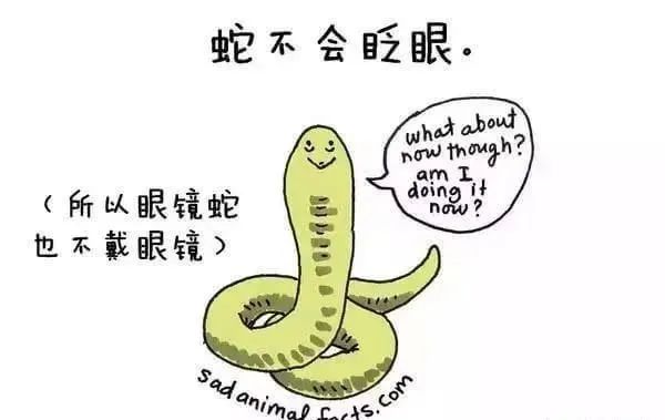 1668495474987815.jpg 10.jpg