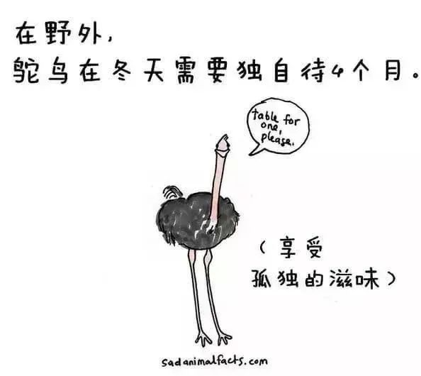 1668495479125459.jpg 11.jpg