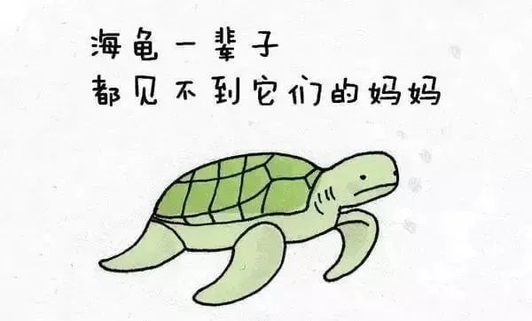 1668495491159864.jpg 13.jpg