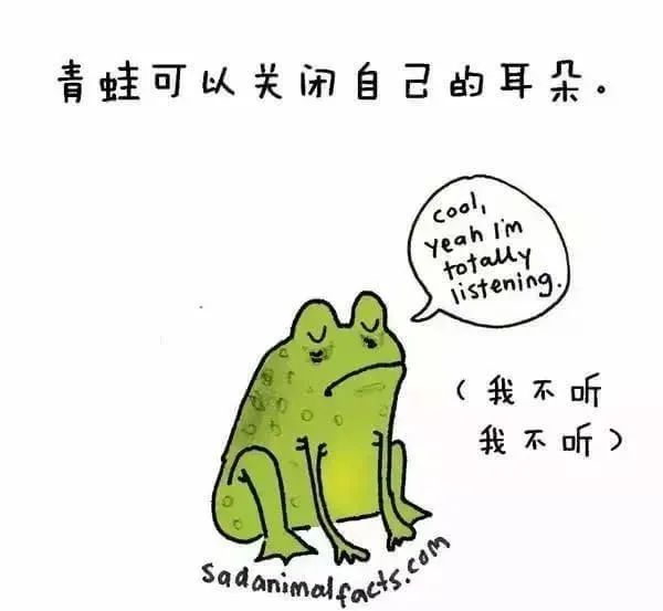 1668495496187315.jpg 14.jpg