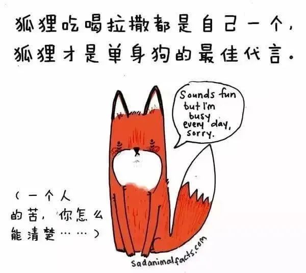 1668495510885188.jpg 16.jpg