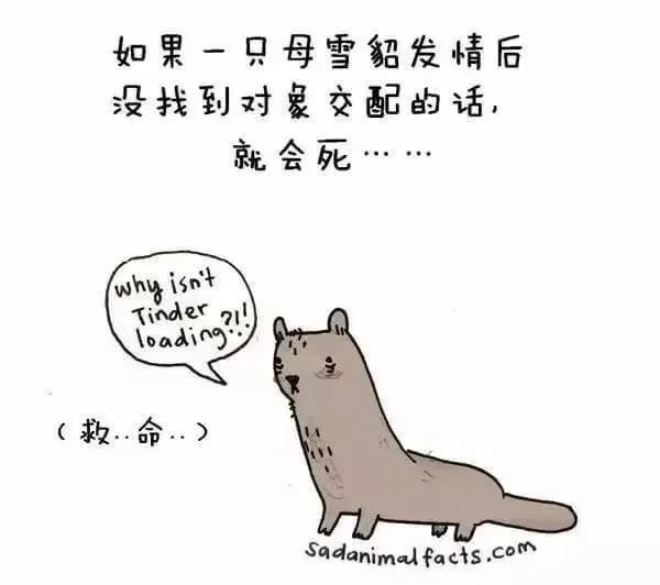 1668495515349785.jpg 17.jpg