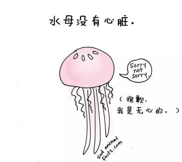 1668495521208741.jpg 18.jpg