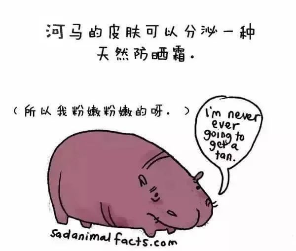 1668495526119812.jpg 19.jpg