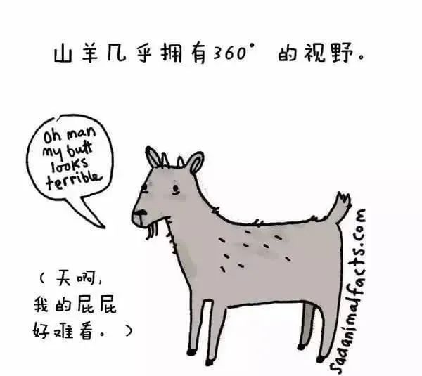 1668495532245946.jpg 20.jpg