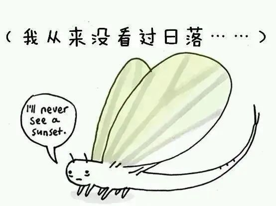 1668495546168409.jpg 22.jpg