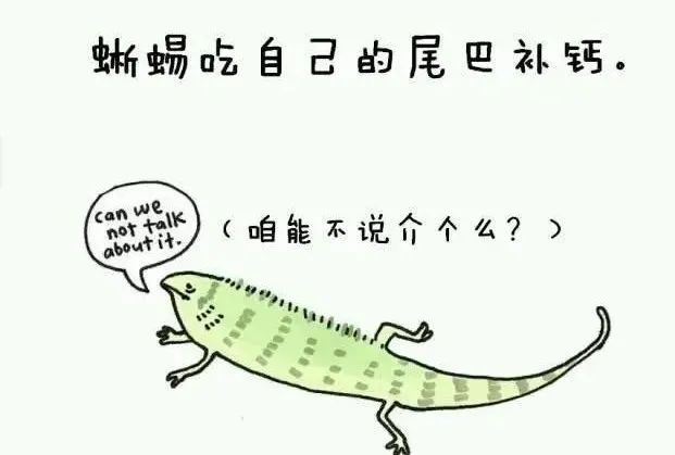 1668495555845077.jpg 24.jpg