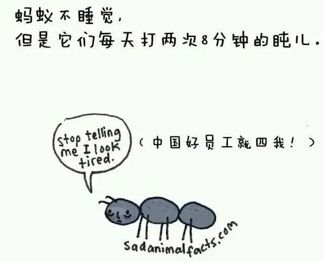 1668495559129188.jpg 25.jpg