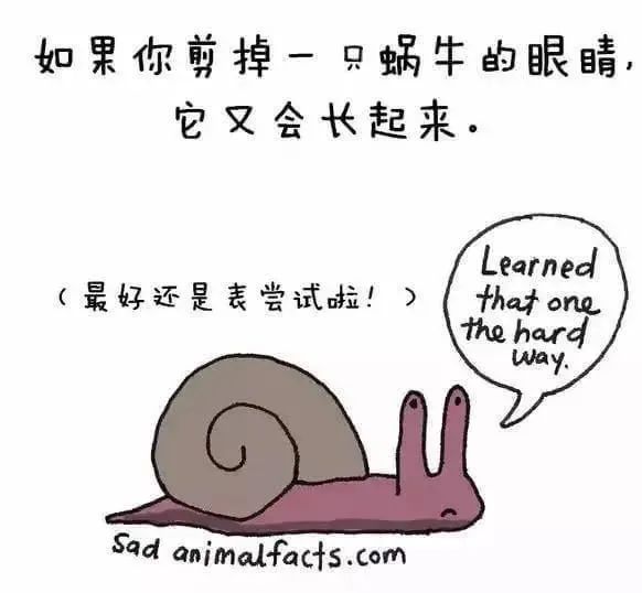 1668495565127588.jpg 26.jpg