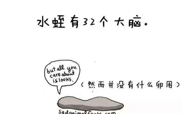 1668495570152555.jpg 27.jpg