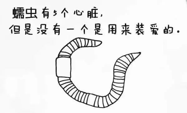 1668495575918463.jpg 28.jpg