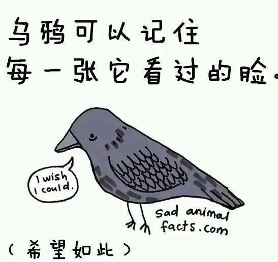 1668495580158045.jpg 29.jpg