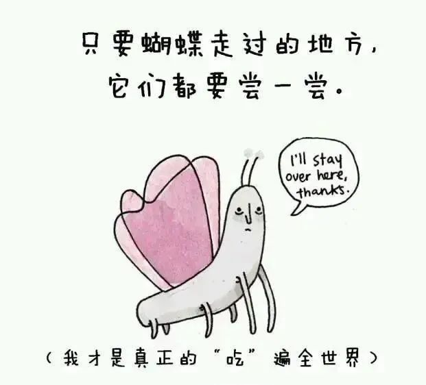 1668495584128080.jpg 30.jpg