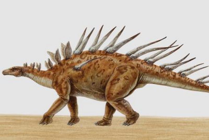 1669716282377524.jpg 6.jpg