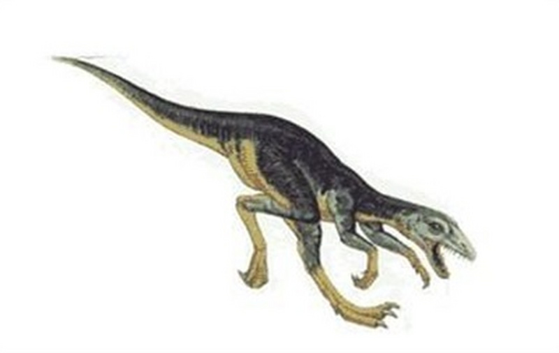 1669716314379619.jpg 10.jpg