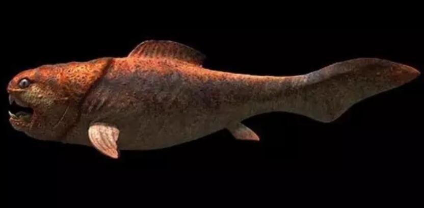 1669963427164189.jpg 2.jpg