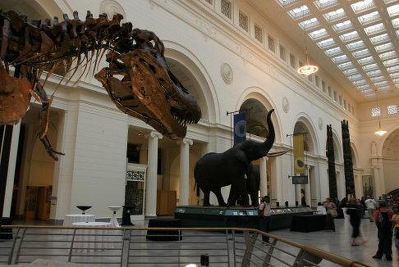 1669964421179255.jpg 3.jpg