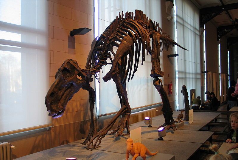 1669964430212092.jpg 5.jpg