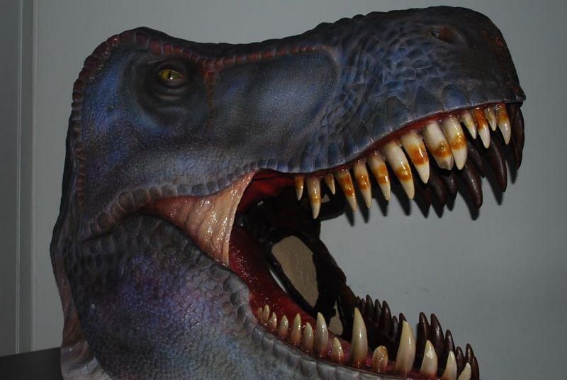 1669964438134475.jpg 6.jpg