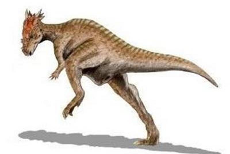 1669967653179505.jpg 3.jpg