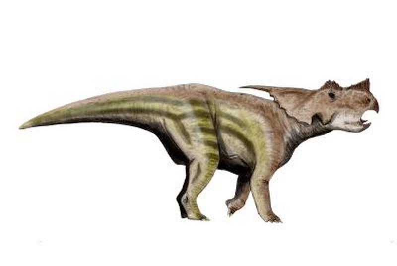 1669967662205715.jpg 4.jpg