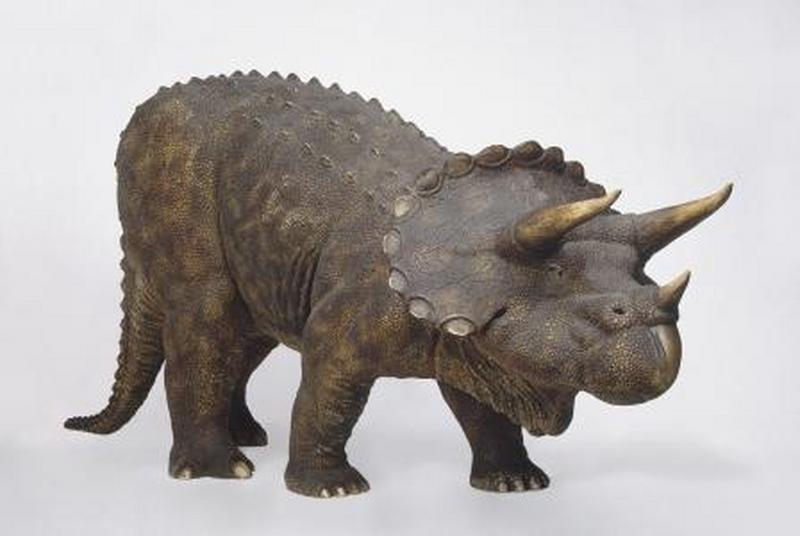 1669967671227723.jpg 5.jpg