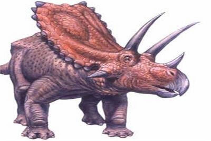 1669967686949911.jpg 7.jpg