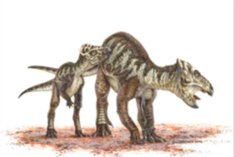 1669967701205382.jpg 9_九雷图片转换器.jpg