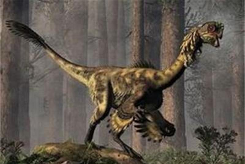 1669968650958582.jpg 2.jpg