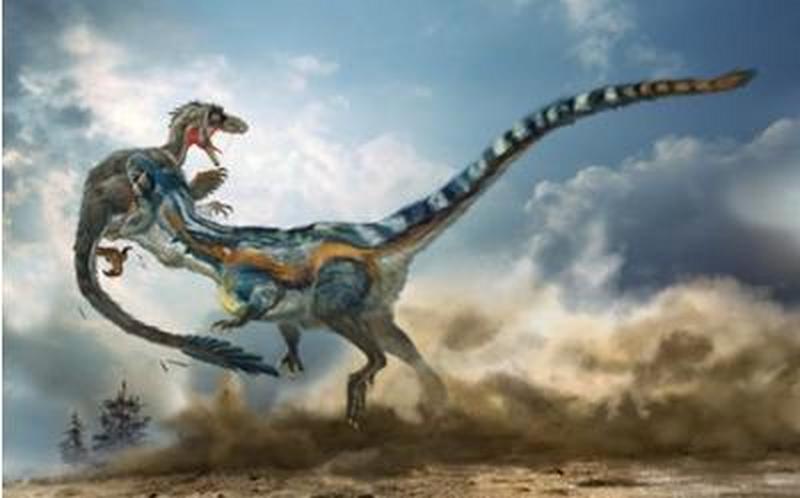 1669968657617392.jpg 3.jpg