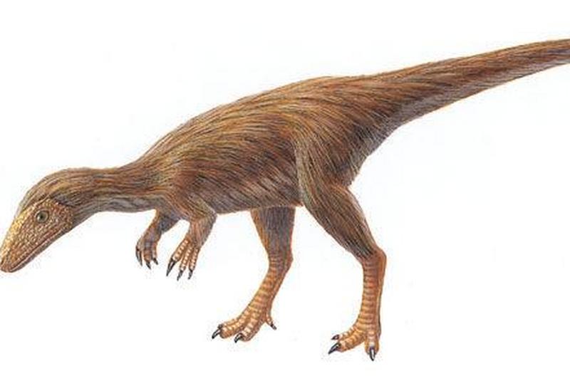 1669968674116707.jpg 5.jpg