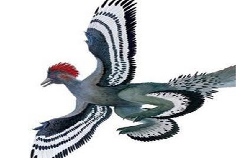 1669968680198846.jpg 6.jpg