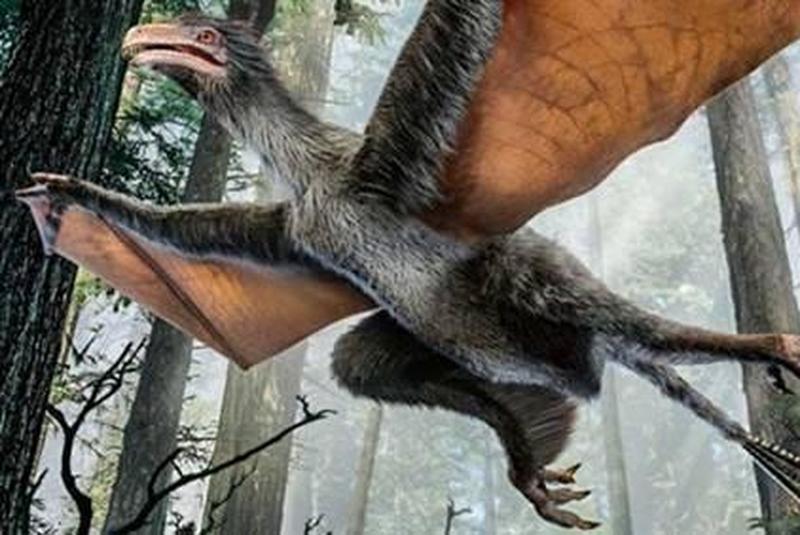 1669968696958451.jpg 8.jpg