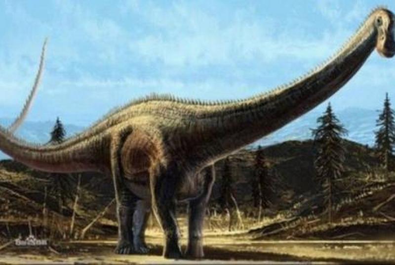 1669970194110581.jpg 3.jpg