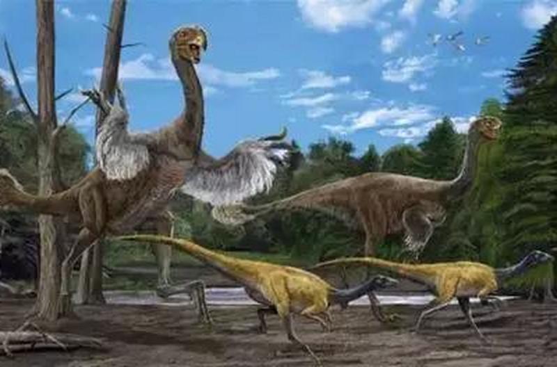 1669970217878452.jpg 6.jpg