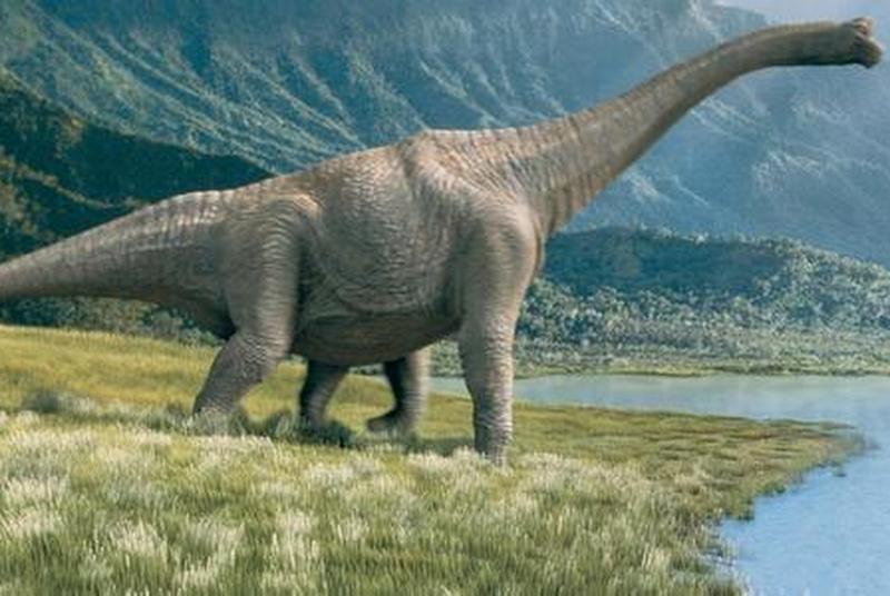 1669970235883784.jpg 8.jpg