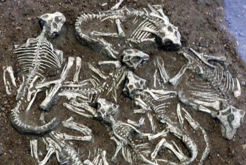 1669970247139191.jpg 9.jpg