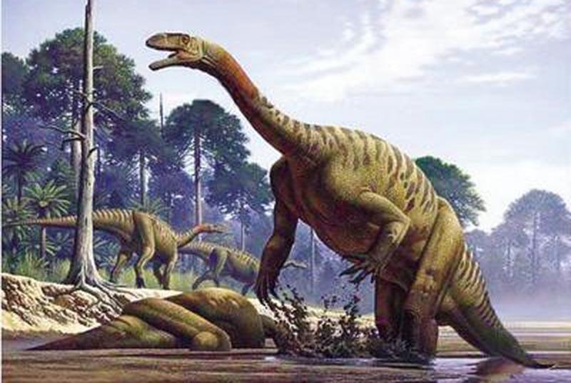 1669970293166319.jpg 10.jpg