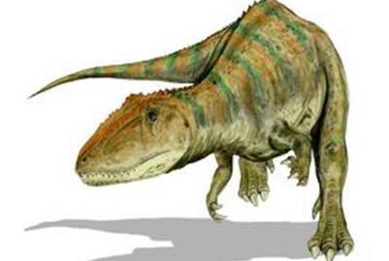 1669973908506415.jpg 5.jpg