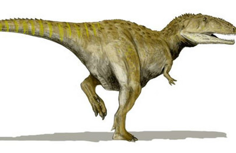 1669973918532530.jpg 6.jpg