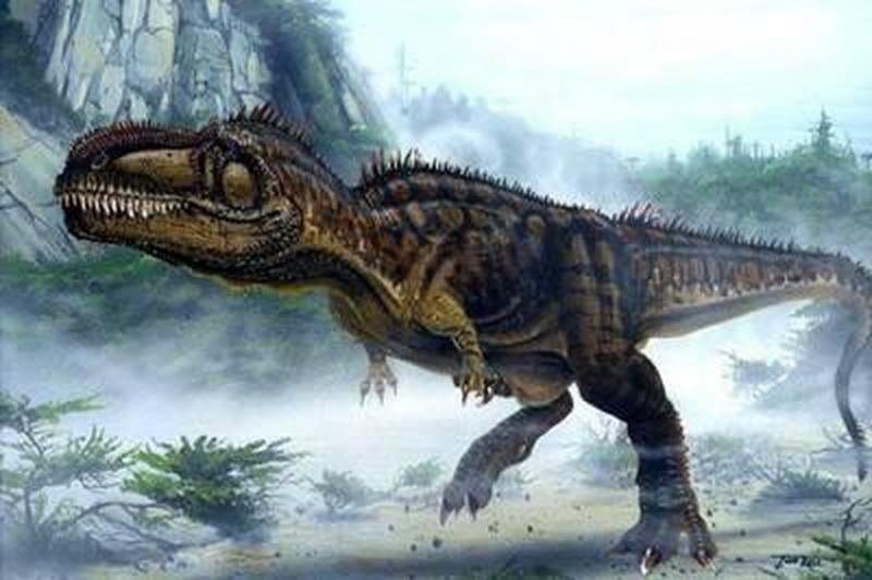 1669973930209215.jpg 7.jpg