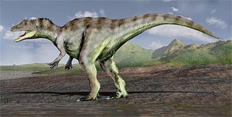 1669973952163567.jpg 9.jpg