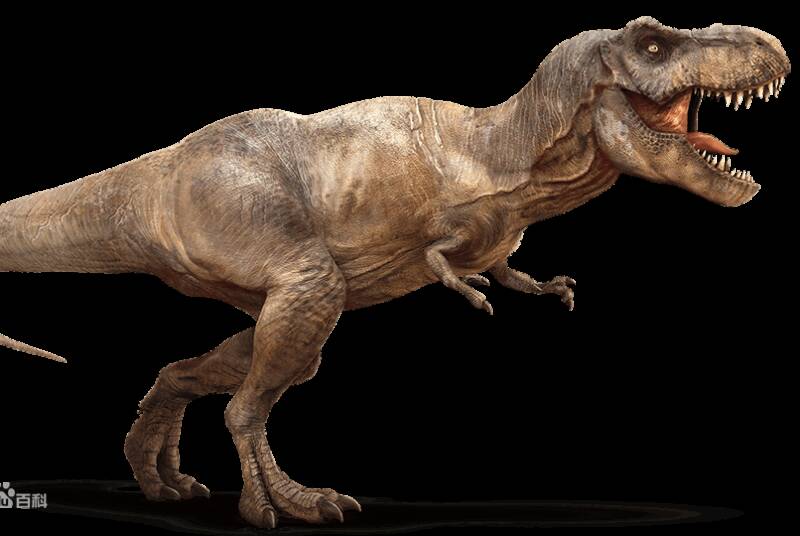 1670211471187937.jpg 3_九雷图片转换器.jpg