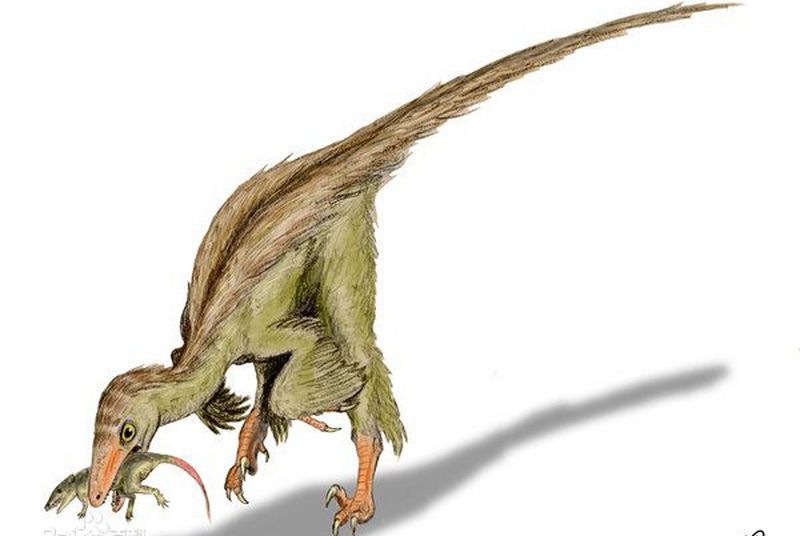 1670211482153363.jpg 4.jpg