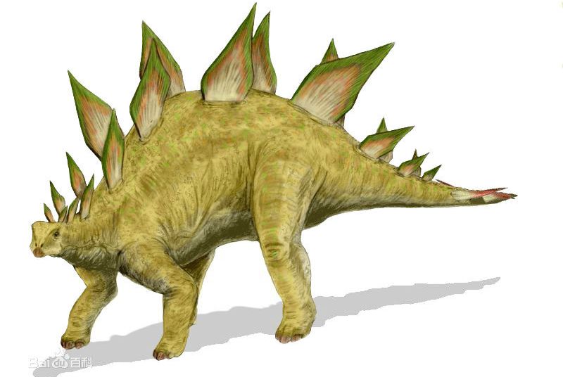 1670211490135297.jpg 5.jpg