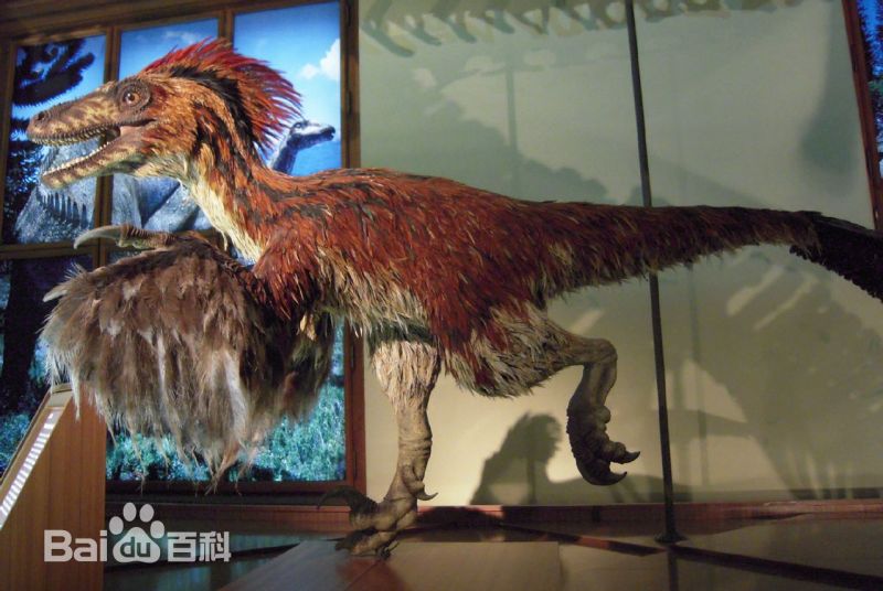 1670211505148885.jpg 7.jpg